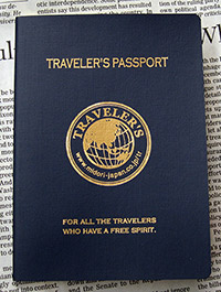 ミドリ トラベラーズノート パスポート柄